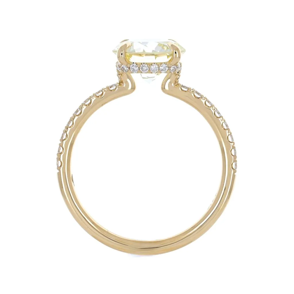 2.48ctw Round Diamond Engagement Ring, Split Collar, Pavê Band - 14K Yellow Gold