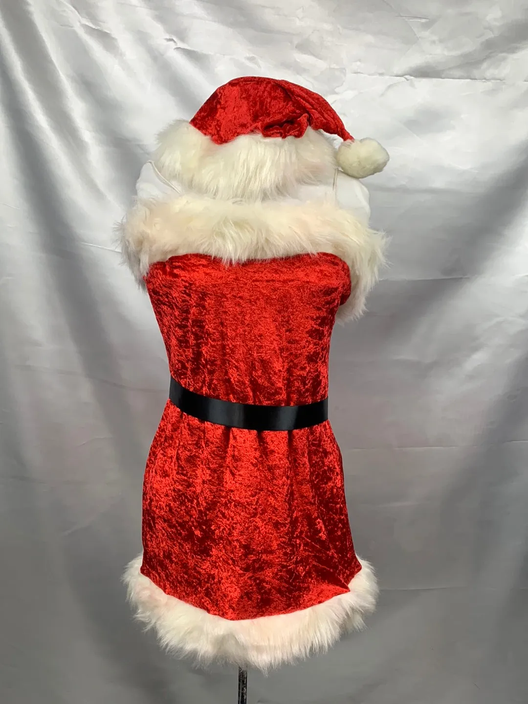 Christmas Gift Adult Women Santa Costume Size Standard Women Size 8- Preowned